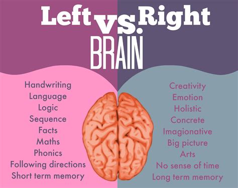 Are writers brains different?
