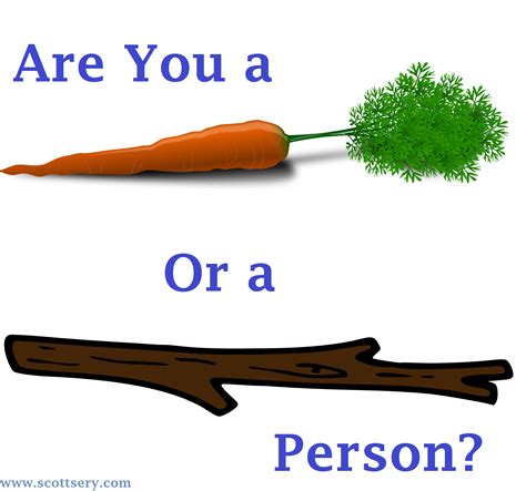 Are you a carrot or a stick?