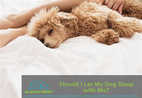 At what age can I let my dog sleep with me?
