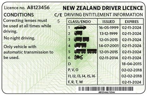 At what age can you drive in New Zealand?