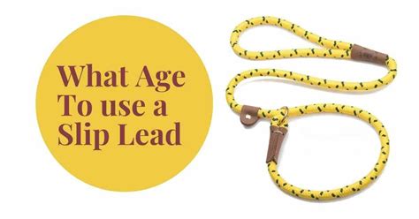 At what age can you use a slip lead?