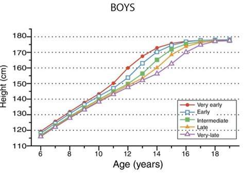 At what age do late bloomers grow the most?