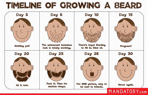 At what age does your beard fully develop?
