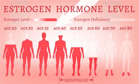At what age is estrogen highest?