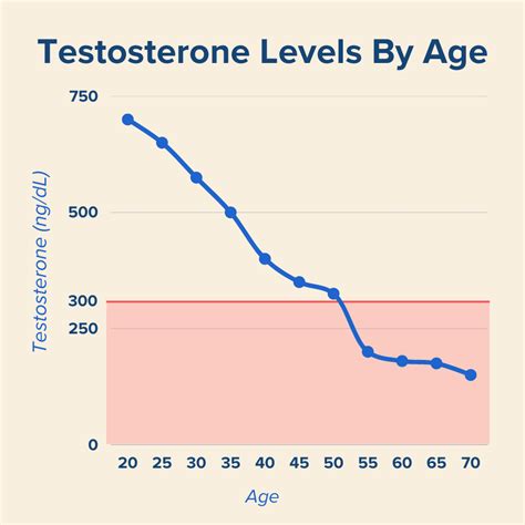 At what age is testosterone lowest?