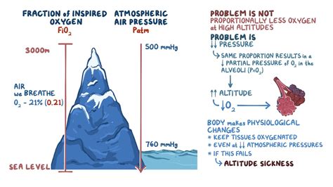 At what altitude does blood boil?