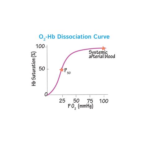 At what oxygen saturation does death occur?