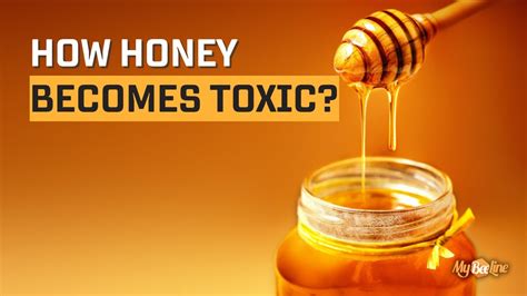 At what temp does honey become toxic?