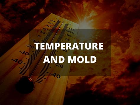 At what temp does mold stop growing?