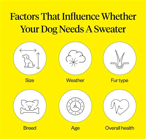 At what temperature do dogs need a sweater?