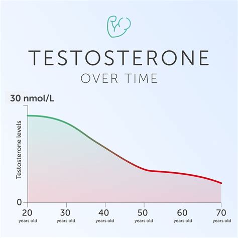 At what time is testosterone highest?