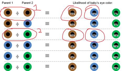 Can 2 brown eyed parents produce blue eyes?