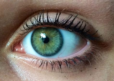 Can 2 green eyes make blue?