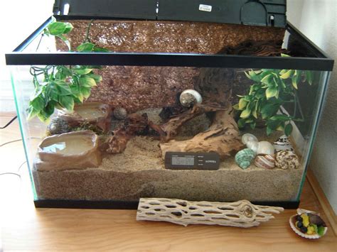 Can 2 hermit crabs live in a 10 gallon tank?