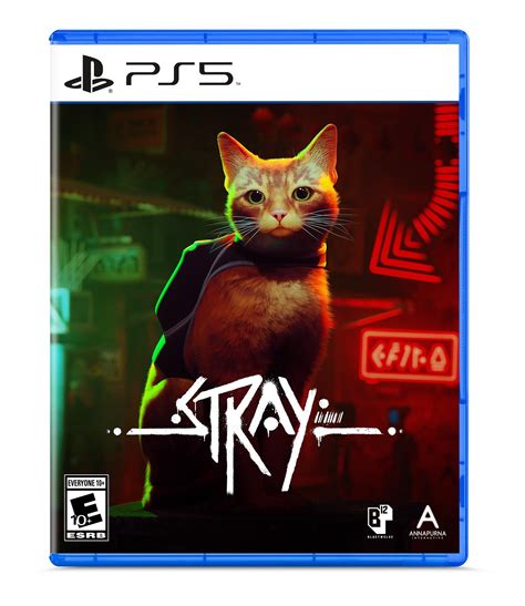 Can 2 people play Stray PS5?