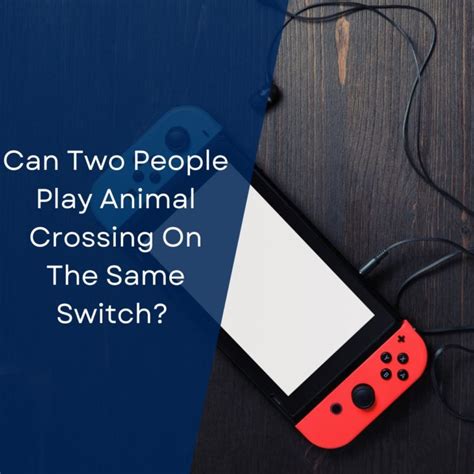 Can 2 people play with one switch?