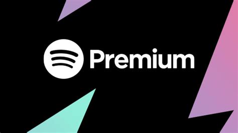 Can 2 people use Spotify Premium individual?