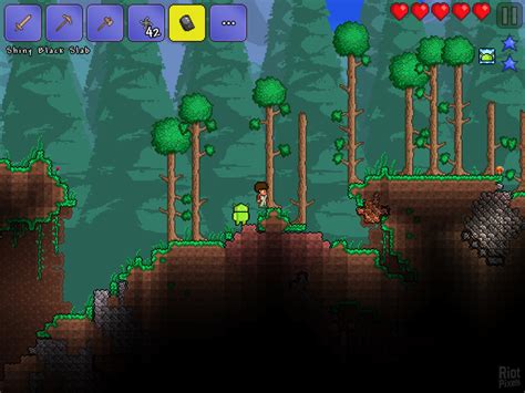 Can 2 players play Terraria?