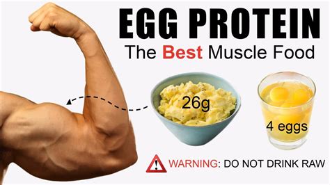 Can 3 eggs a day build muscle?