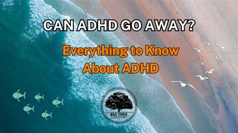 Can ADHD go away naturally?