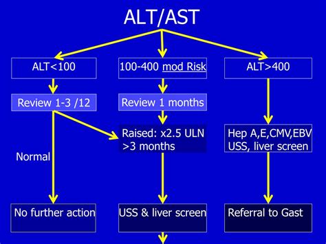 Can ALT levels decrease?