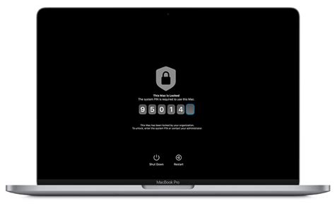 Can Apple lock a stolen device?