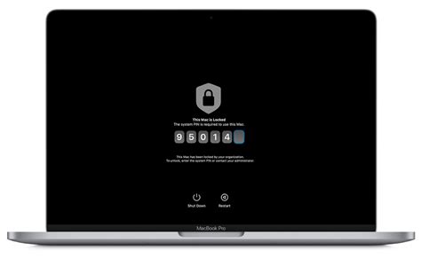 Can Apple lock my Mac?