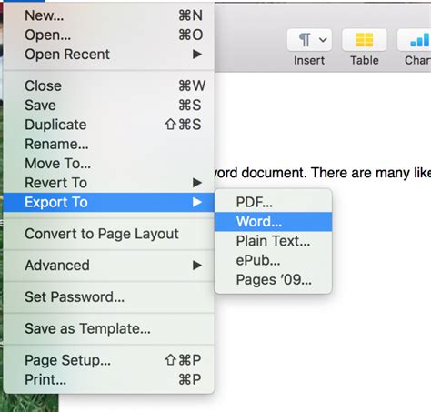 Can Apple pages open Word documents?