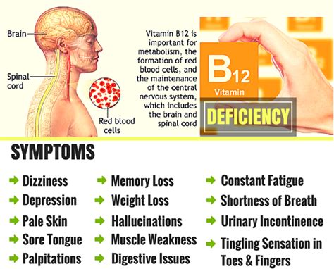 Can B12 affect your hormones?