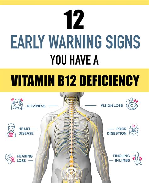Can B12 deficiency cause spinal lesions?