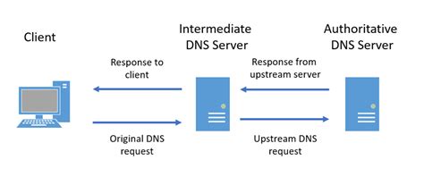 Can DNS collect data?