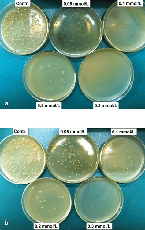 Can E coli grow in oil?