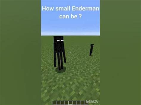 Can Enderman be friendly?