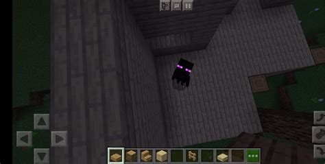 Can Endermen see you with dragon head?