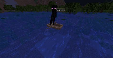 Can Endermen touch water?