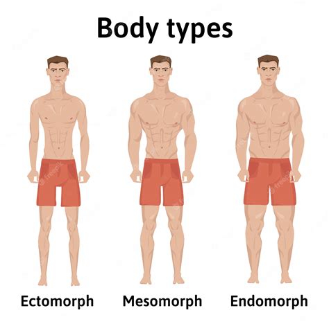Can Endomorphs get skinny legs?