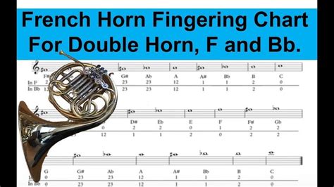 Can French horn play F5?