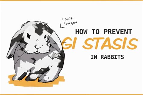 Can GI stasis go away?