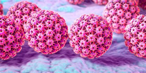Can HPV be destroyed?