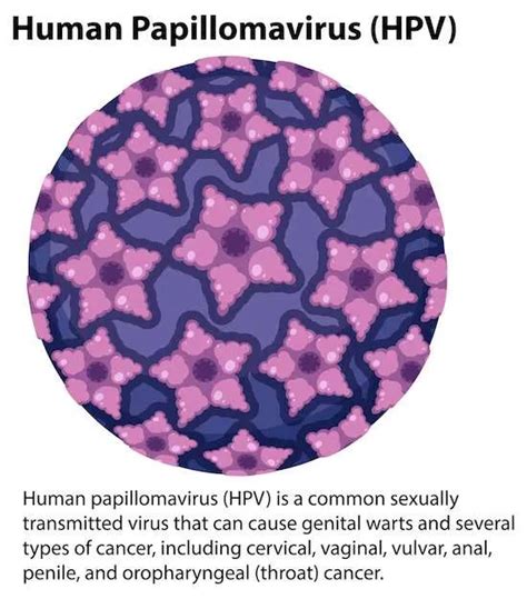 Can HPV be dormant for 40 years?