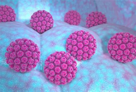 Can HPV come back after 50 years?