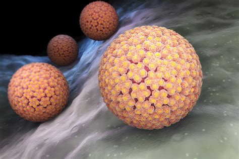 Can HPV live in air?