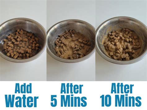 Can I add water to dry dog food?