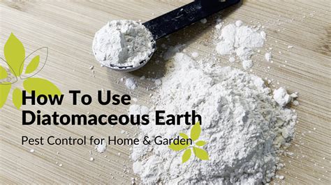 Can I apply diatomaceous earth with my hands?