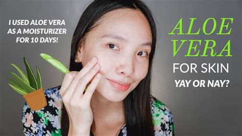 Can I apply fresh aloe vera everyday?