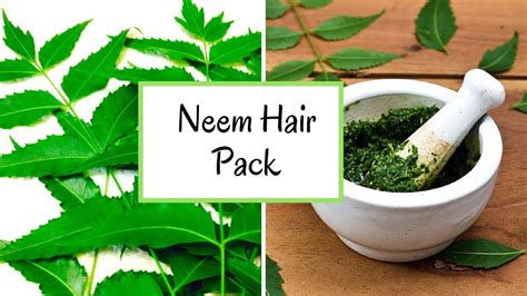 Can I apply neem paste on hair?