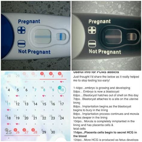 Can I be 5 weeks pregnant and still test negative?