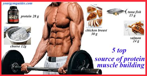 Can I build muscle with 20g of protein?