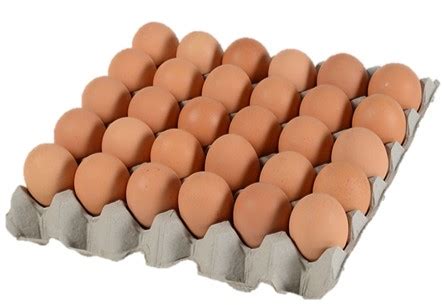 Can I bulk on eggs?