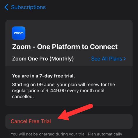 Can I cancel Zoom after a month?